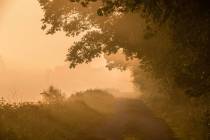 CHK-Venner Moor-8_#