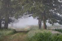 CHK-Venner Moor-9_#
