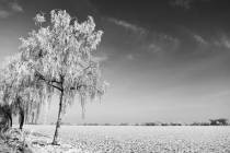 Bild 1 Schneelandschaft