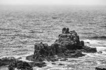 Bild 14 lands end