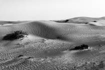 Bild 6 Wüstenwellen