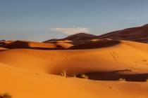 Bild 9 Spuren im Sand