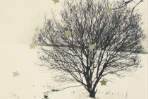 FWO-Winter 1