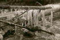 FWO-Winter 2