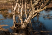RVS-Winter-101_#