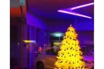 city-Lights_#