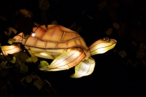 Zoo-Lights