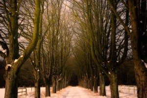 Landschaft 09