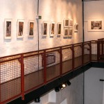 Füchse-Ausstellung 01