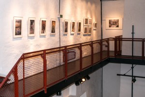 Füchse-Ausstellung 01