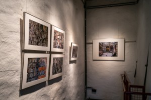 Füchse-Ausstellung 02