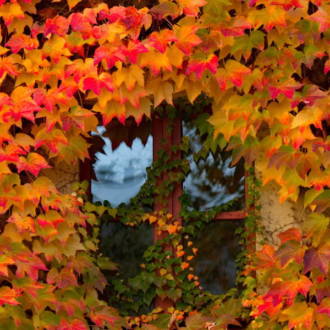 Monatsthema Herbst Monatsthema Herbst